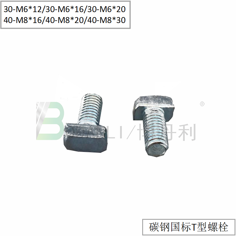 博丹利 國(guó)標(biāo) T型螺栓 銀白